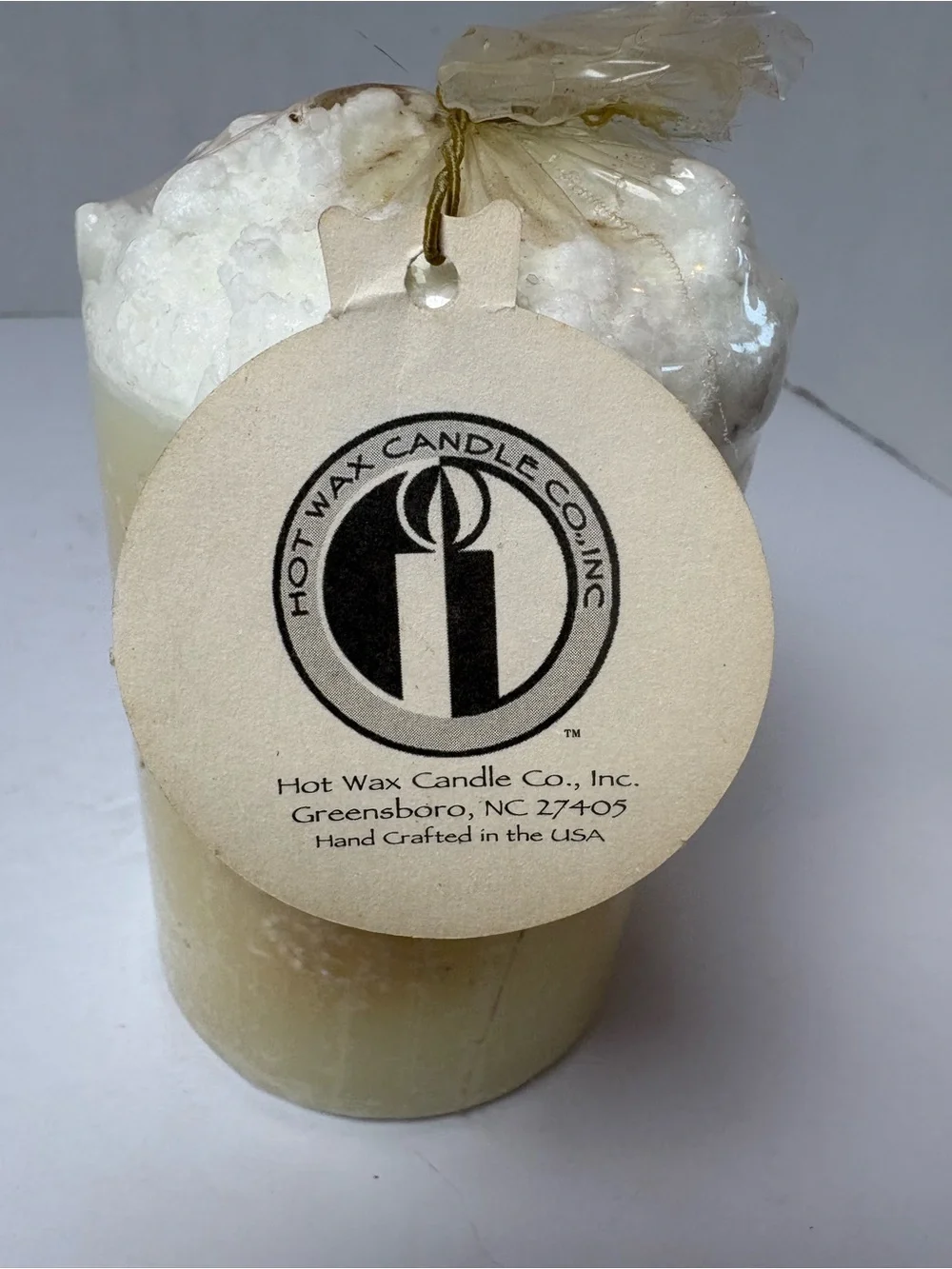 Hot Wax Candle Co Snowman Holiday Botanical Pillar Candle NWT